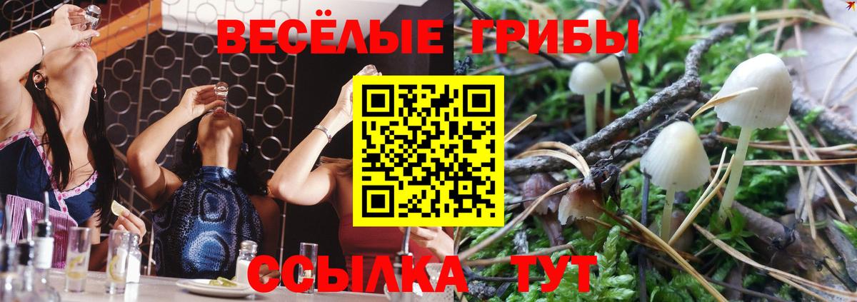Псилоцибиновые грибы Cubensis Ипатово